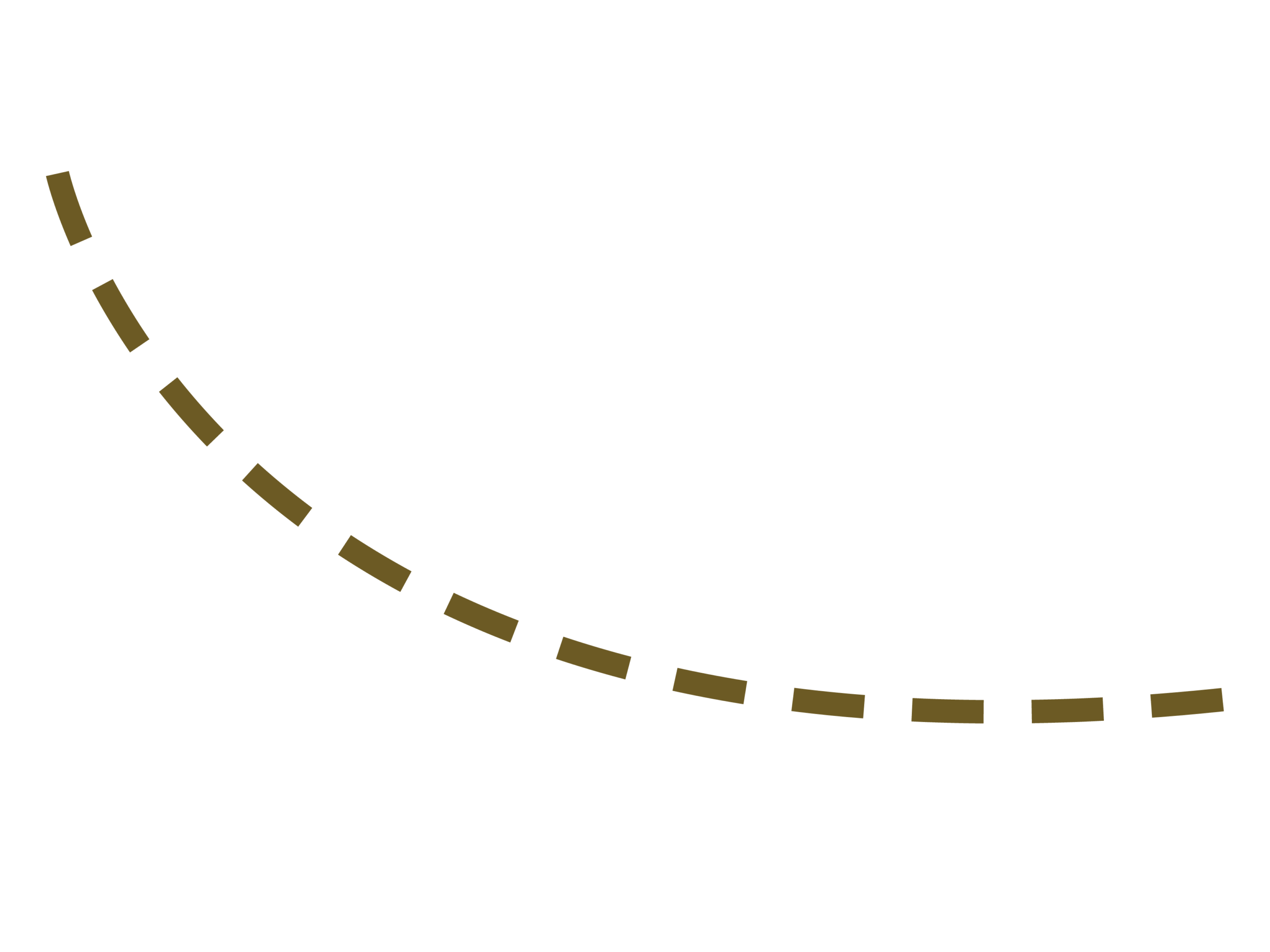 HerCampaign-LINES
