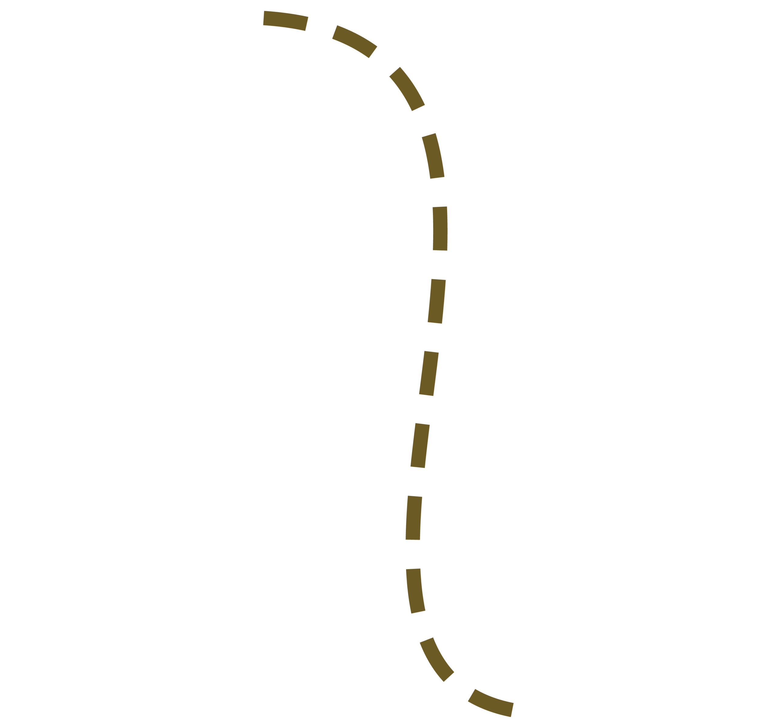 HerCampaign-LINES3